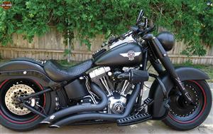 Harley Davidson